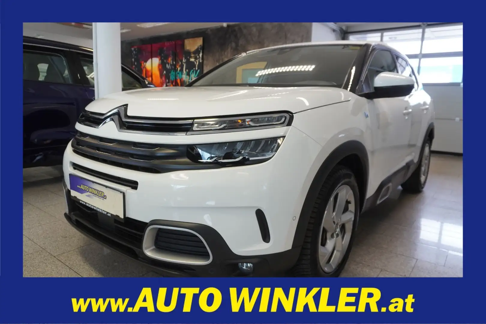 Citroen C5 Aircross 225e PHEV LED/Navi/Leder Weiß - 1