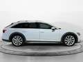 Audi A6 allroad 50 TDI 3.0 quattro 286cv Bianco - thumbnail 4