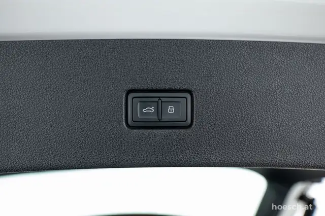 Audi Q8 55 TFSI e quattro LUFT BLACK LEDER ASSISTENZ R-KA Ansicht 9