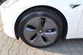 Tesla Model 3 Langstreckenbatt. Allradantrieb Dual Motor - thumbnail 23