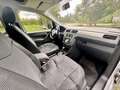 Volkswagen Caddy VW Caddy Maxi Tredline 2.0 TDI, DSG Kombi Family - thumbnail 6