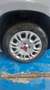 Fiat Panda 1.0 firefly 51Kw (Man.) "PREZZO REALE" (1502) Gris - thumbnail 8