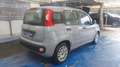 Fiat Panda 1.0 firefly 51Kw (Man.) "PREZZO REALE" (1502) Gris - thumbnail 2