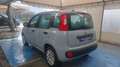 Fiat Panda 1.0 firefly 51Kw (Man.) "PREZZO REALE" (1502) Gris - thumbnail 5