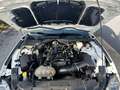 Ford Mustang 2.3 KIT SHELBY 500-CERCHI19-IVA ESPOSTA White - thumbnail 13