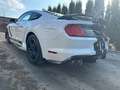 Ford Mustang 2.3 KIT SHELBY 500-CERCHI19-IVA ESPOSTA White - thumbnail 5