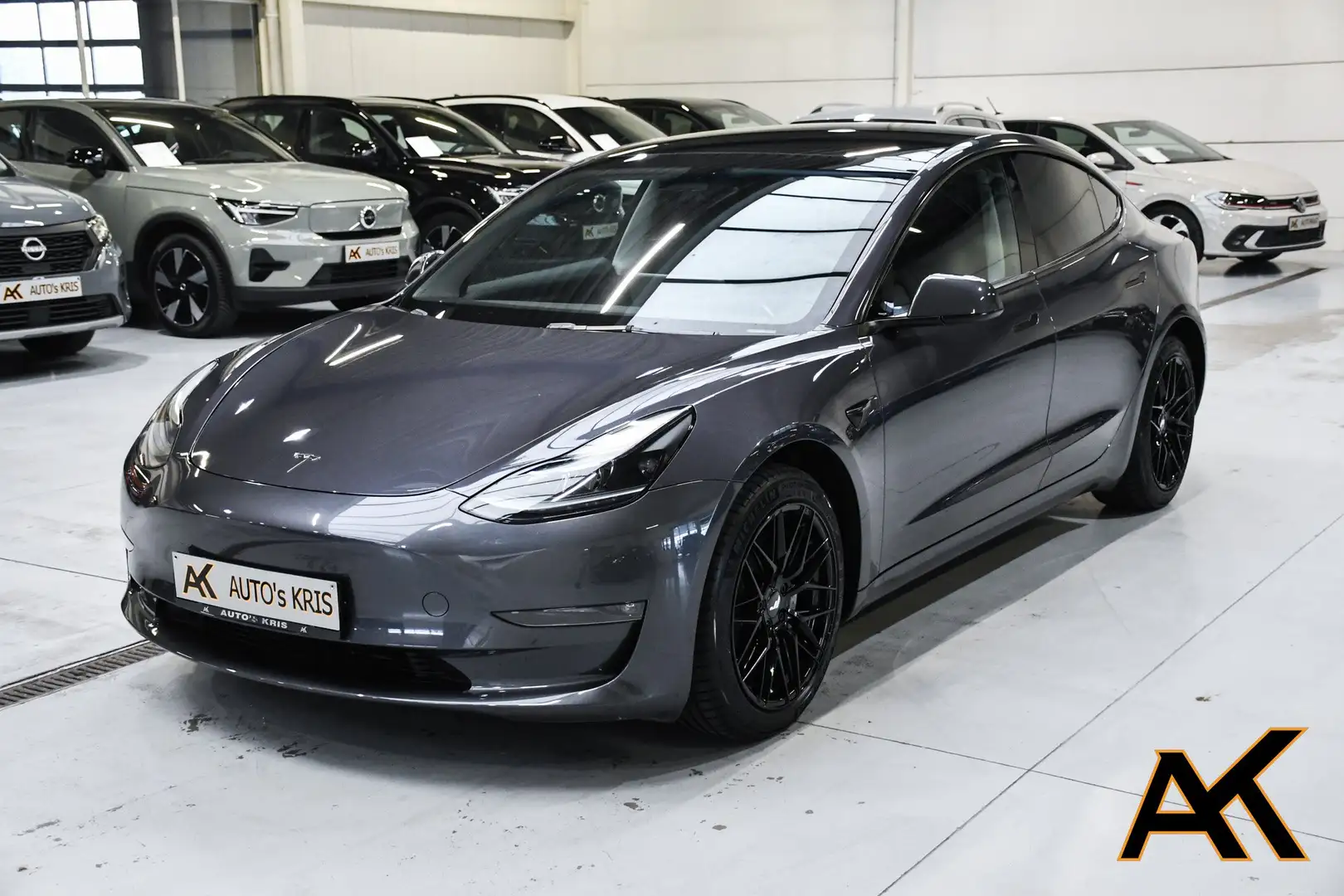 Tesla Model 3 Model 3 Dual Motor Long range -LEDER / NAVI / PANO Gris - 1