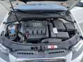 Audi A3 2.0 TDI Ambition (103kW) Weiß - thumbnail 6