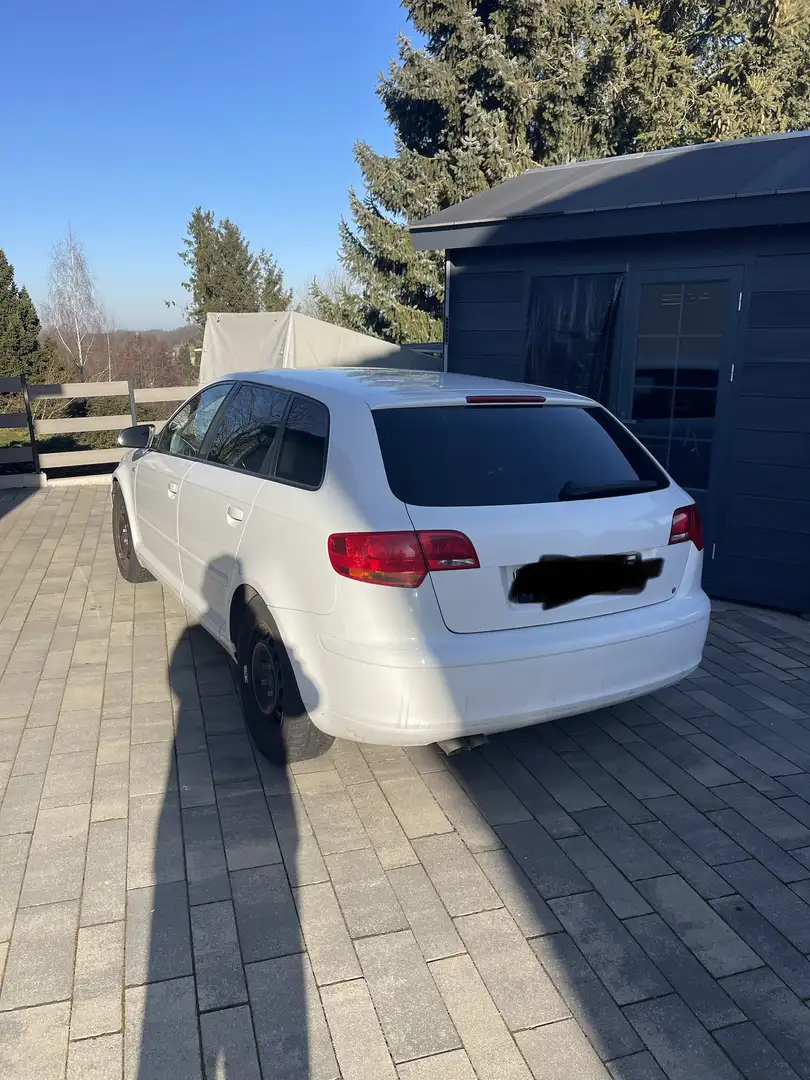 Audi A3 2.0 TDI Ambition (103kW) Weiß - 2