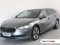 Skoda Superb Selection TDI DSG Grau - thumbnail 1