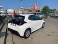 Toyota Yaris Yaris 1.0 Business Wit - thumbnail 4