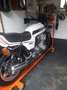 Honda CB 900 Bol d'or bijela - thumbnail 4