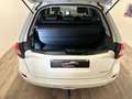Renault Koleos Koleos 2.0 dci Bose 4x4 150cv AUTO GANCIO TRAINO Wit - thumbnail 27