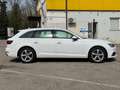 Audi A4 Avant 35 TDI sport S-tronic+Navi+Apple CarPlay+LED Weiß - thumbnail 8