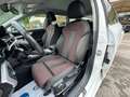 Audi A4 Avant 35 TDI sport S-tronic+Navi+Apple CarPlay+LED Weiß - thumbnail 18