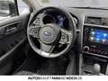 Subaru OUTBACK 2.5i Comfort LED AHK R-KAM SHZ 4X4 Navi - thumbnail 10