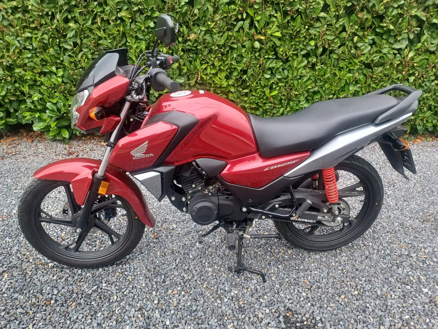 Honda CBF 125 125 Wit - 1