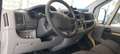 Fiat Ducato 3.0 leggi descrizioni Jaune - thumbnail 7