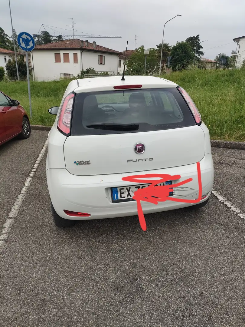 Fiat Punto 5p 1.4 natural power Young 70cv - 2