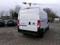 Fiat Ducato H2 Kastenwagen 33 L2H2  AHK NAVI ALU GJR Weiß - thumbnail 4