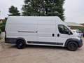 Fiat Ducato MAXI 35 XLH3 2.3 Multijet 130CV 6M Blanc - thumbnail 5