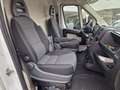 Fiat Ducato MAXI 35 XLH3 2.3 Multijet 130CV 6M Blanc - thumbnail 9