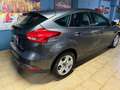 Ford Focus 101cv benzina Grigio - thumbnail 5