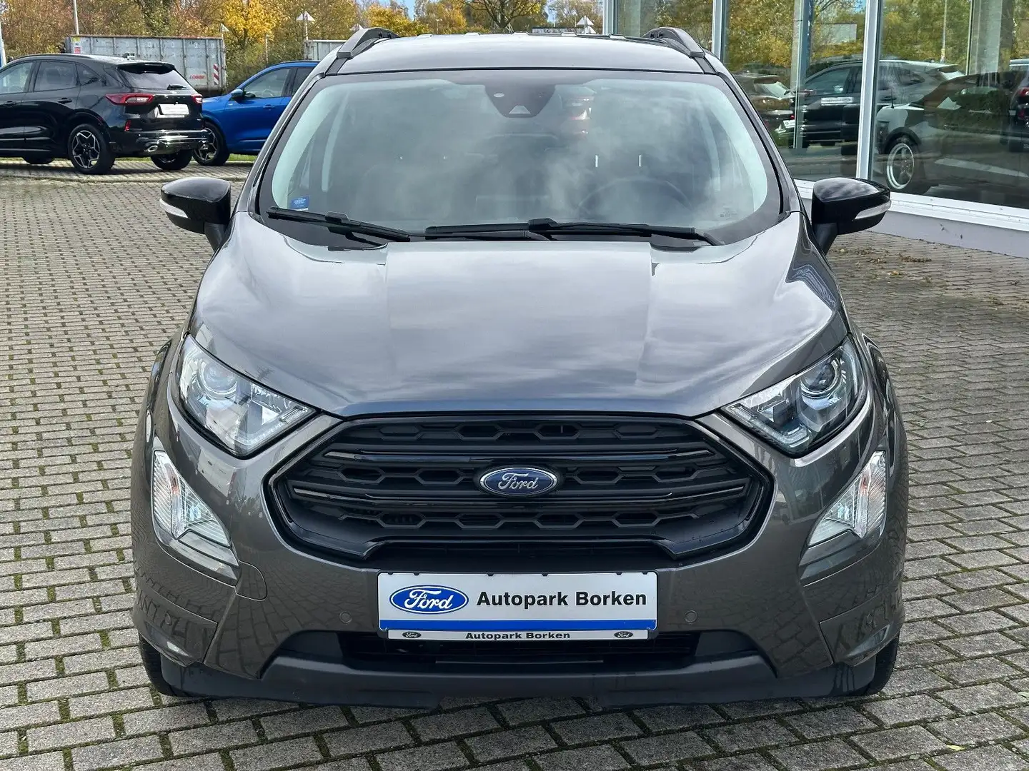 Ford EcoSport ST-Line LED Winter Paket Technik Paket Grijs - 2
