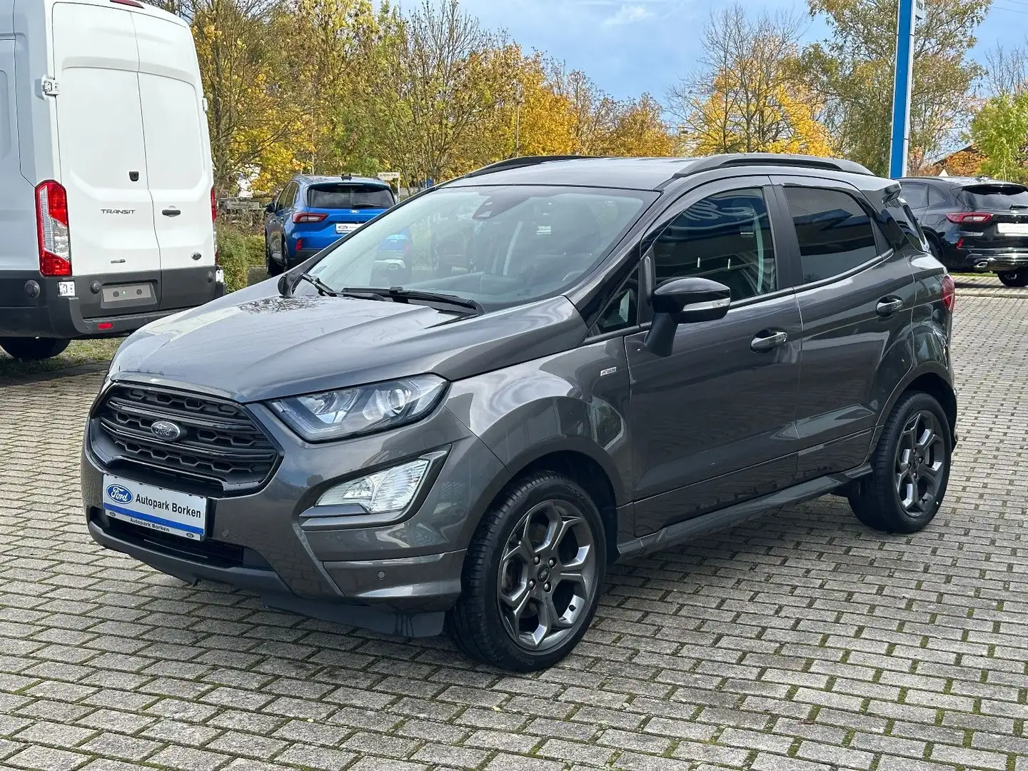 Ford EcoSport ST-Line LED Winter Paket Technik Paket Grijs - 1
