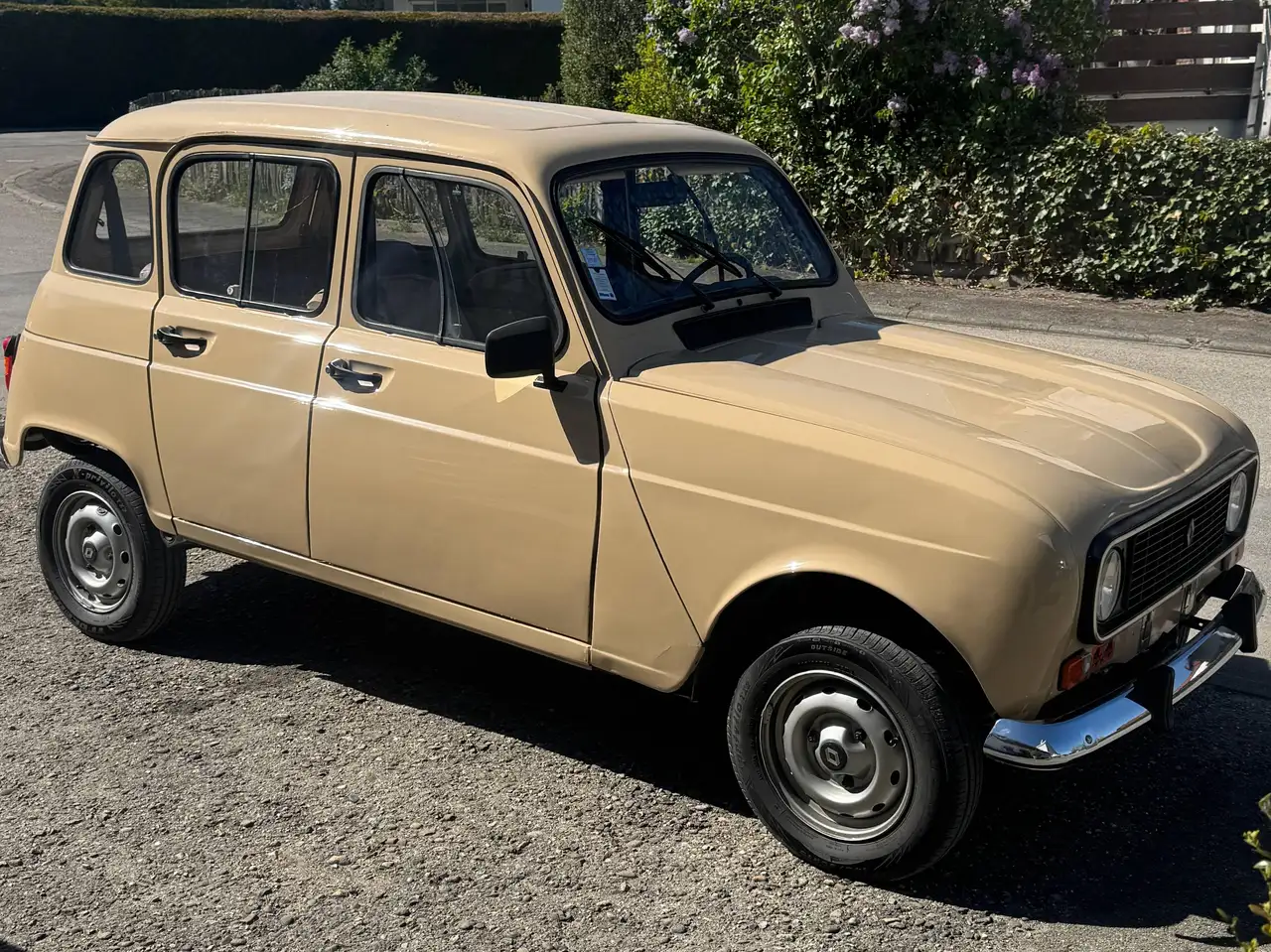 Renault R 4 GTL Sinpar 4x4, foto 1