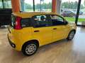 Fiat Panda 1.0 Hybrid MY25 PREZZO VERO Giallo - thumbnail 4