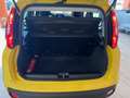 Fiat Panda 1.0 Hybrid MY25 PREZZO VERO Giallo - thumbnail 15