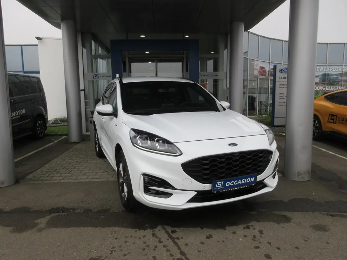 Ford Kuga ST-Line X 2.5i FHEV 190ch/140kW - HF45 Auto AWD Blanc - 1