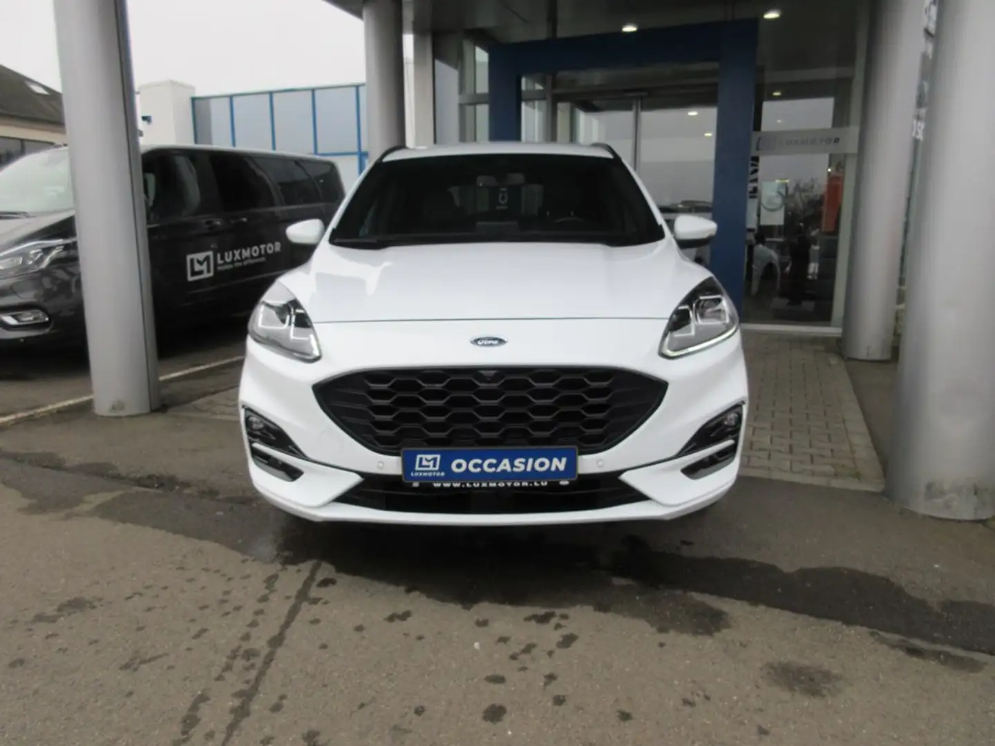 Ford Kuga ST-Line X 2.5i FHEV 190ch/140kW - HF45 Auto AWD Blanc - 2