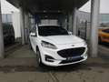 Ford Kuga ST-Line X 2.5i FHEV 190ch/140kW - HF45 Auto AWD Blanc - thumbnail 1