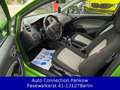 SEAT Ibiza Style Viva**1.HAND*TÜV NEU*ÖLSERVICE NEU** Grün - thumbnail 10