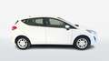 Ford Fiesta 5P 1.5 ECOBLUE BUSINESS 85CV MY19.5 Bianco - thumbnail 4