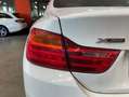BMW 428 428i xDrive Blanco - thumbnail 26