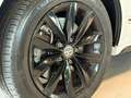 Volkswagen T6 Multivan *Dynamic*ACC*Memory*RFK*SHZ*STDHZ* Weiß - thumbnail 12