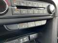 Kia Ceed / cee'd Vision 1.4T Navi Komfort Kamera SHZ Tempomat Blau - thumbnail 19