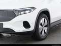Mercedes-Benz EQA 300 EQA 300 4M ADVANCED/PANO/360°KAMERA/WINTER-PAKET Blanc - thumbnail 3
