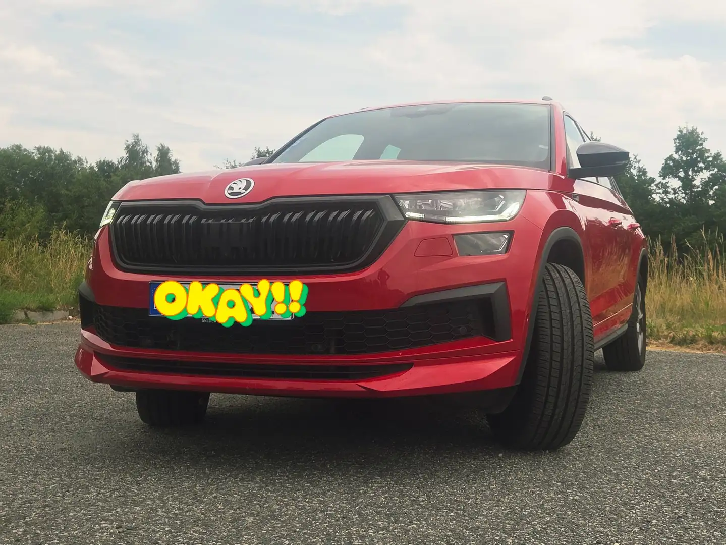 Skoda Kodiaq Kodiaq 2.0 TDI 4x4 DSG Sportline Rot - 2