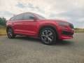 Skoda Kodiaq Kodiaq 2.0 TDI 4x4 DSG Sportline Rot - thumbnail 5