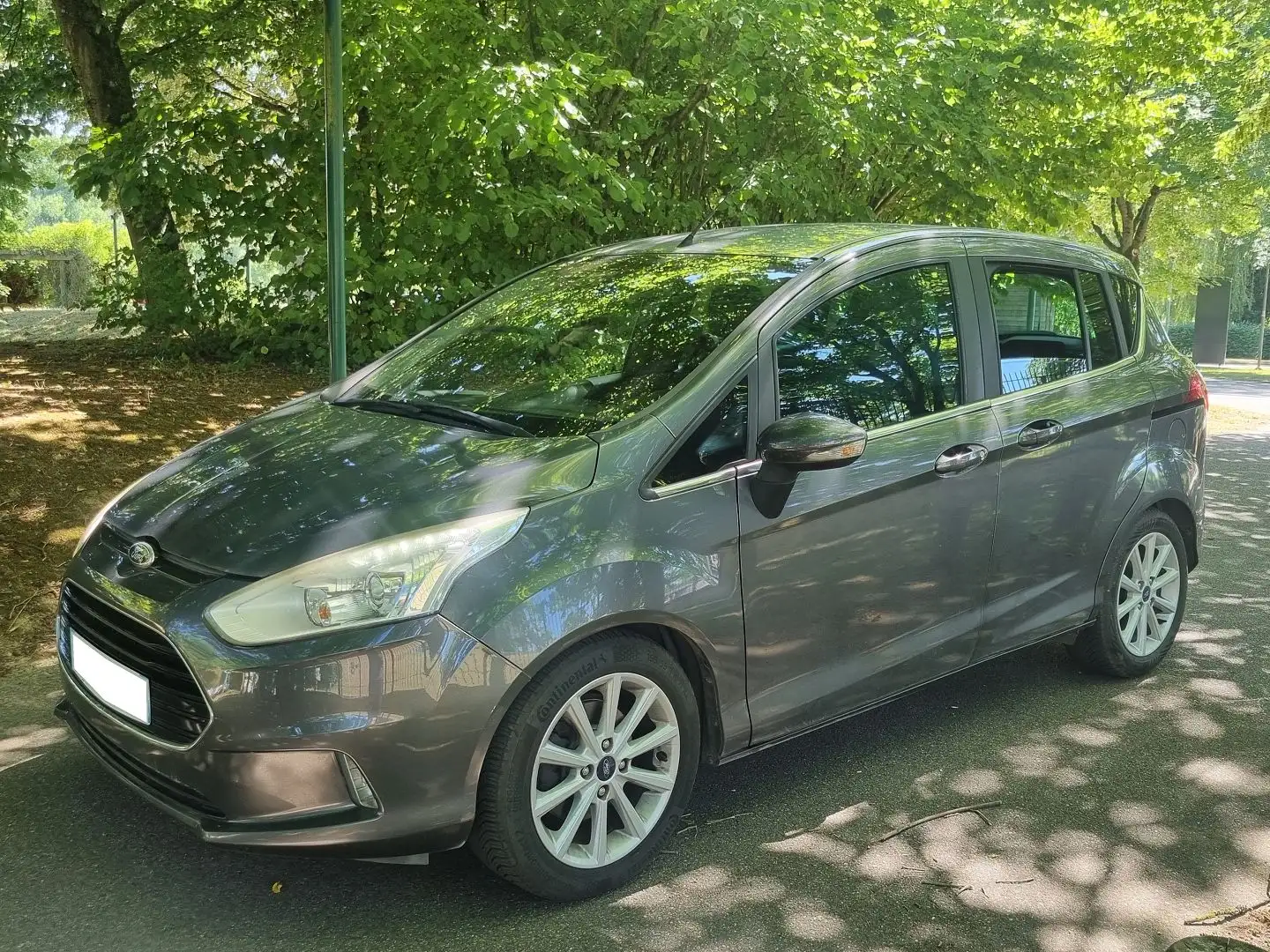 Ford B-Max 1.0 SCTI 125 ECOBOOST STOP\u0026START TITANIUM Gris - 1