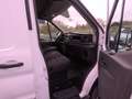 Ford Transit 2.0ECOBLUE 130CV L2H2 350 Blanco - thumbnail 2