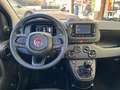 Fiat Panda Pandina 1.0 Hybrid 70cv ICON PROMO NATALE! Azul - thumbnail 8