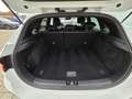 Kia Ceed / cee'd ceed 1,4 TGDI GPF GT-Line DCT Aut. inkl. AHV Weiß - thumbnail 23