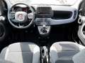 Fiat Panda Hybrid Tech Paket, Radio, Klima, Multifunktion Grau - thumbnail 5