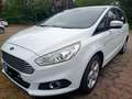 Ford S-Max S-Max 2.0 Eco Boost Aut. Start-Stopp Business Weiß - thumbnail 4