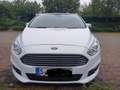 Ford S-Max S-Max 2.0 Eco Boost Aut. Start-Stopp Business Weiß - thumbnail 1
